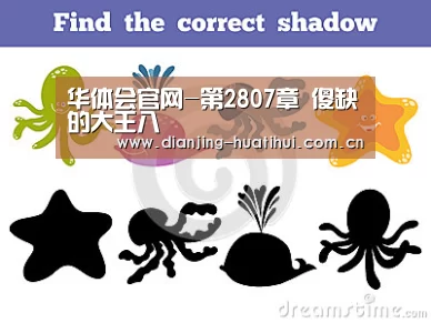 华体会官网