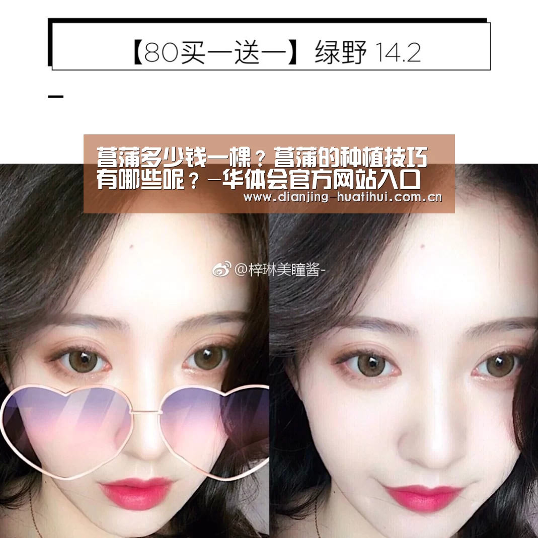 华体会