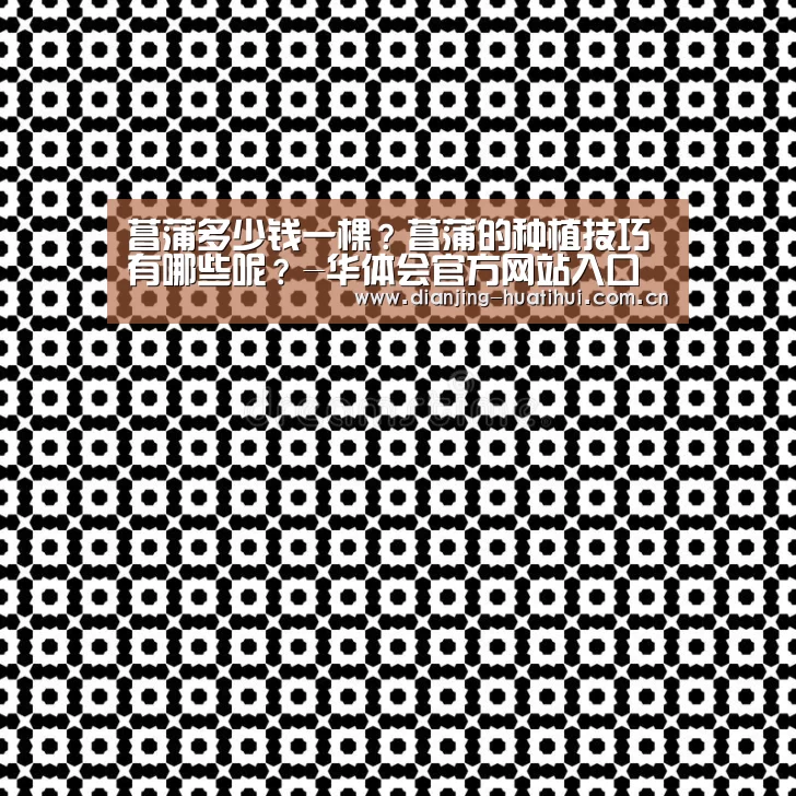华体会官网