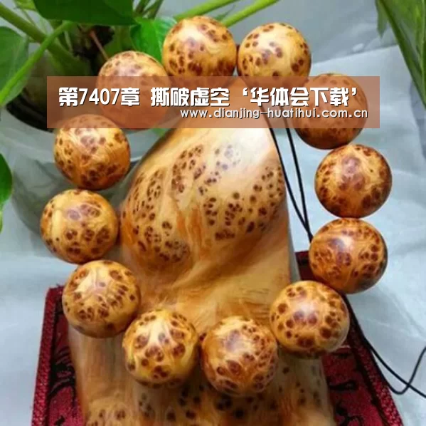 华体会