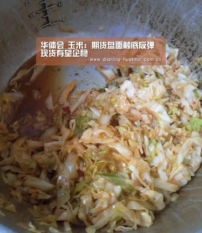 华体会_玉米:期货盘面触底反弹现货有望企稳(图1) 华体会下载