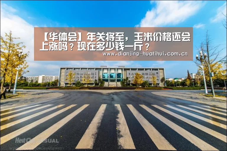 【华体会】年关将至,玉米价格还会上涨吗?现在多少钱一斤?(图2) 华体会